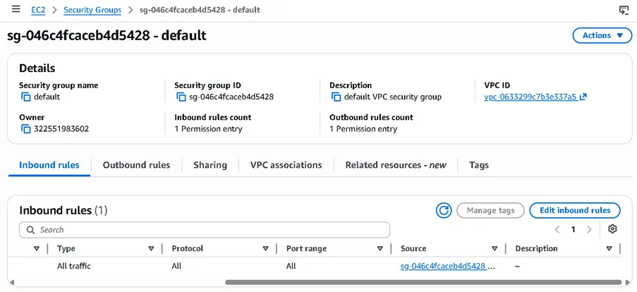 EC2 security group for the protected instance